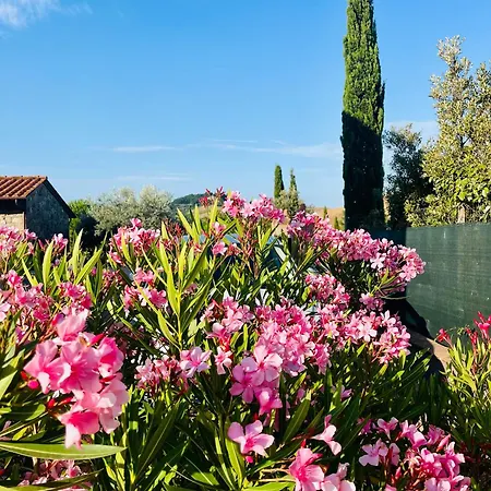 Casa Leoni Chianni Tuscanyonly Feriehus
