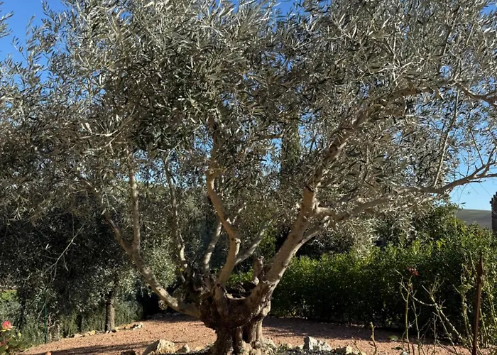 Casa Leoni - Tuscan Luxurious * קיאני